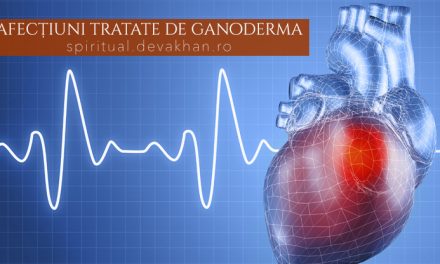 De ce este Ganoderma eficace în cazul bolilor cardio-vasculare?