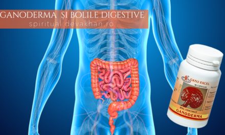 Ganoderma și problemele digestive sau toxiinfecțiile alimentare