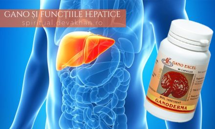Ganoderma și tratamentul hepatitelor acute sau cronice și a disfuncțiilor hepatice