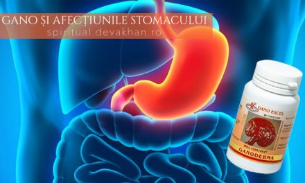 Ganoderma și gastrita, ulcerul gastric, ulcerul duodenal