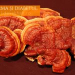 Cu Ganoderma, diabetul nu mai reprezintă o boală de temut